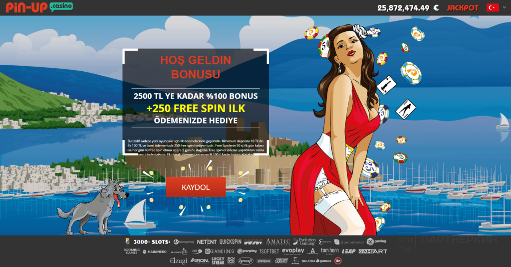 Pin-up Casino Slot Makinesi